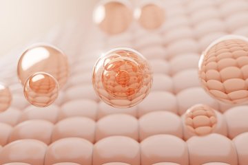 Artboard 5 copy 3@2x